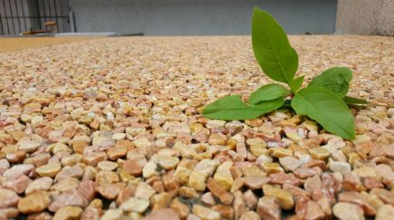 露骨料透水混凝土